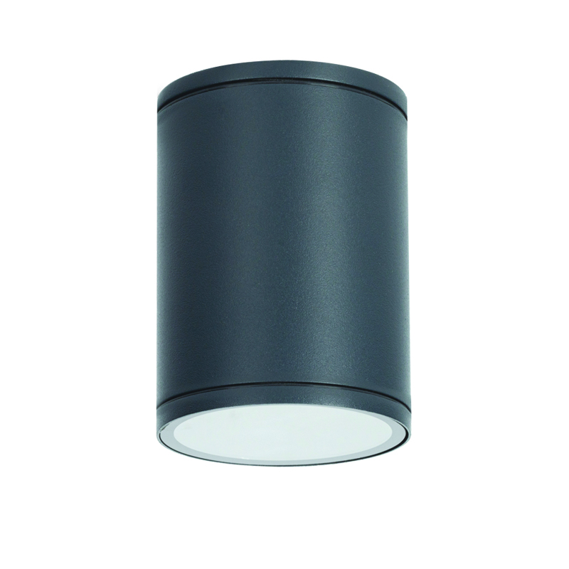 E27 PAR30  ROUND CEILING LUMINAIRE 230V AC DARK GREY IP65 MAX.35W