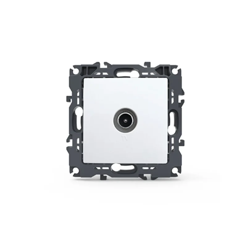 1000114001 1500x1500