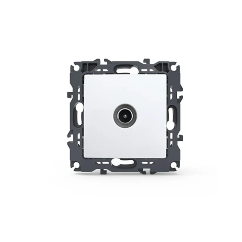 1000114101 1500x1500